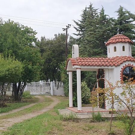 Hephaestus Appartments Litochoro - A2 외부 사진
